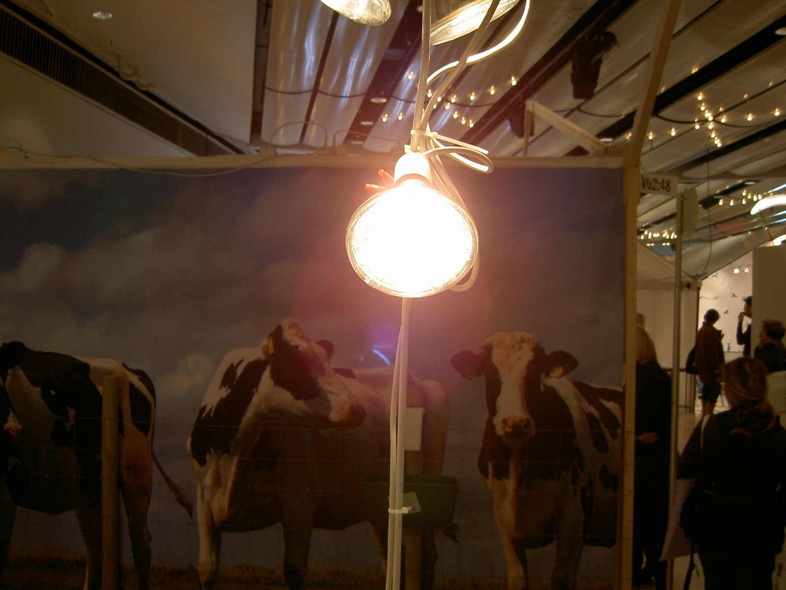 pict3444.JPG